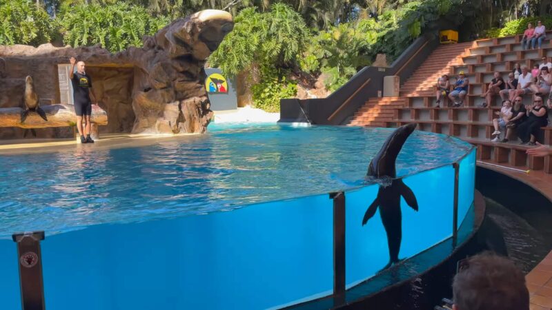 Loro Parque,Tenerife